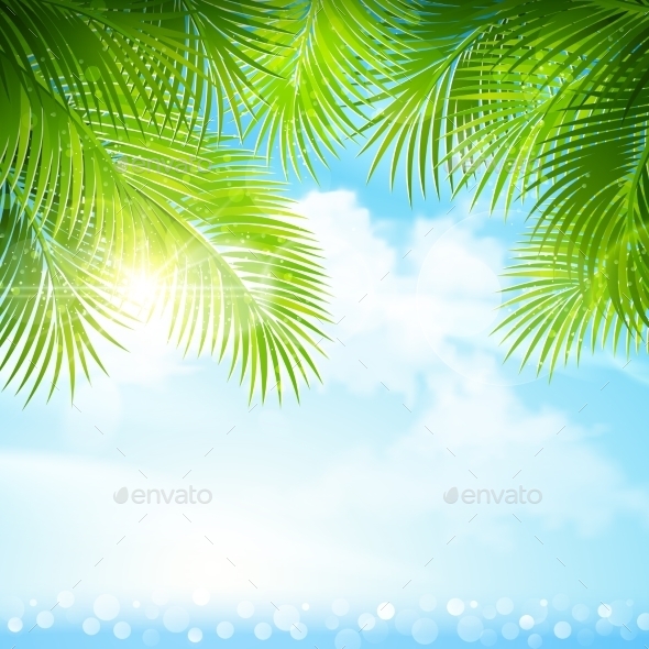 Palm Leaves with Bright Sunlight (Flowers & Plants)