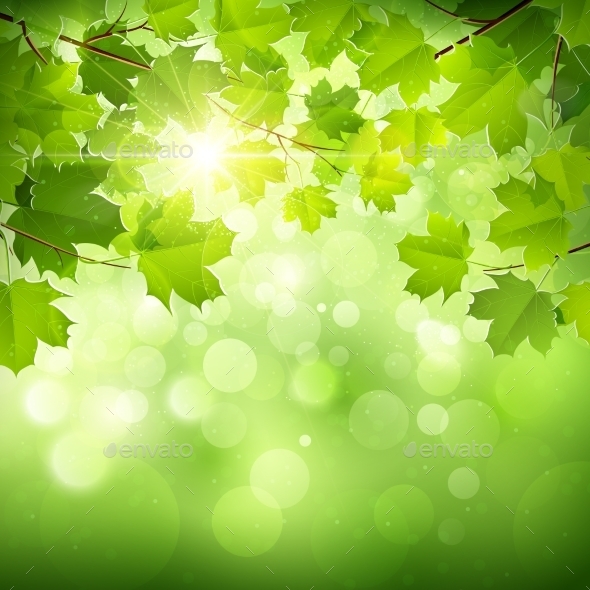 GraphicRiver Natural Green Background 11401344 GraphicRiver Natural Green Background 11401344