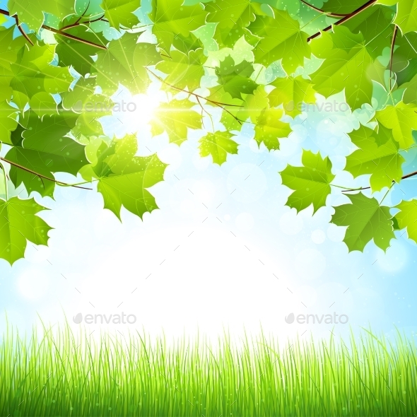 GraphicRiver Natural Background 11401349 GraphicRiver Natural Background 11401349