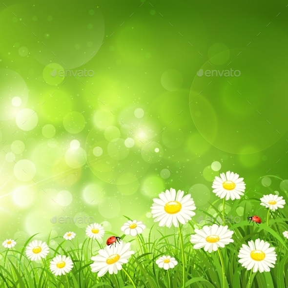 Natural Background with Flowers (Flowers & Plants)