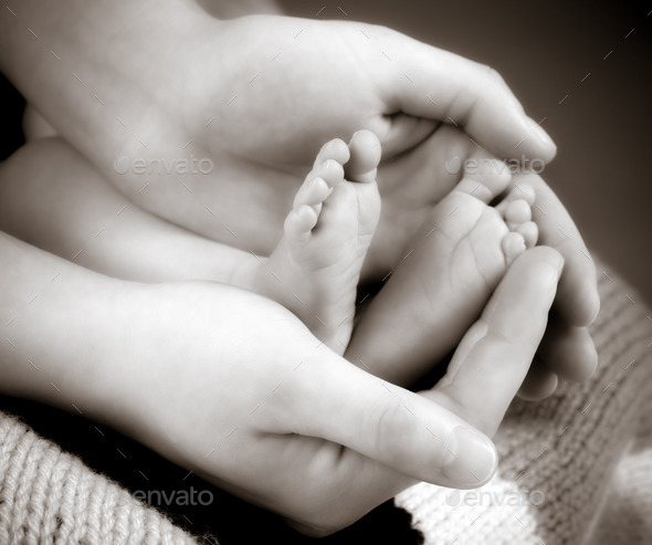 leg newborn little baby in the mother's hands (Misc) Photo Download