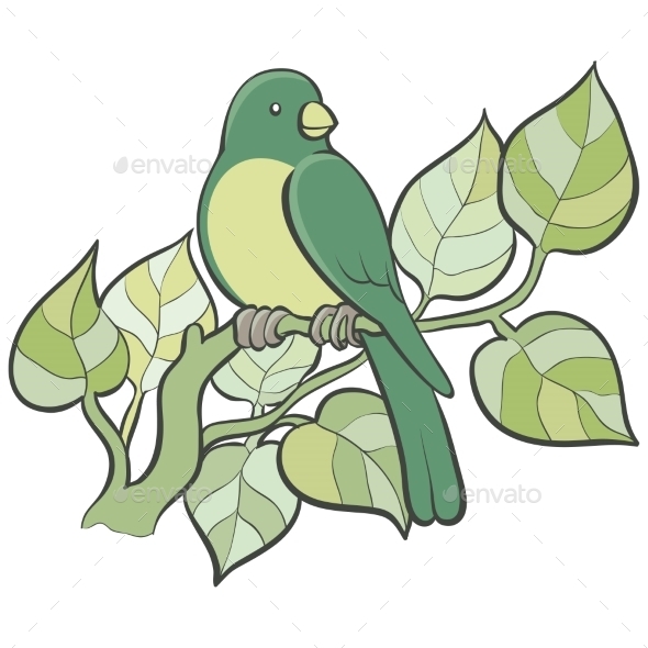 GraphicRiver Green Bird 11408509 GraphicRiver Green Bird 11408509