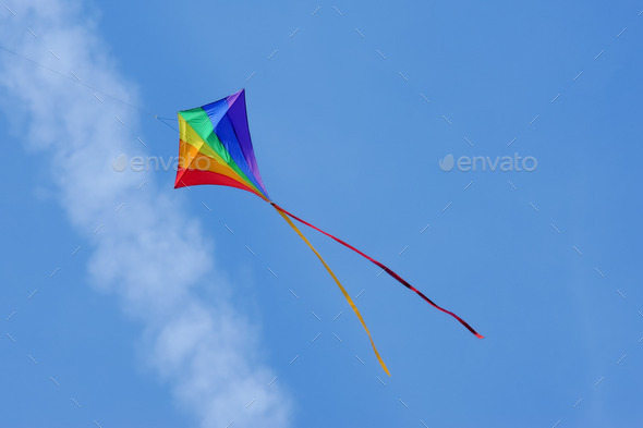 kite flying (Misc) Photo Download