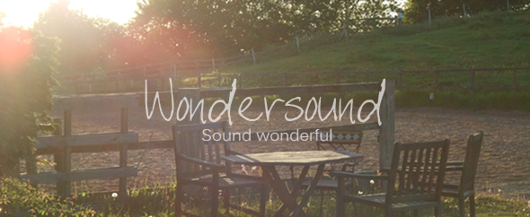 Wondersound-logo-box-banner2