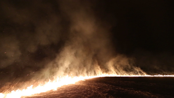 Fire On The Field Fire On The Field