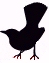 ncdesign