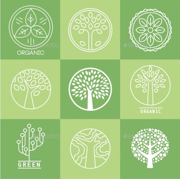 GraphicRiver Tree Collection Of Design Elements 11432453 GraphicRiver Tree Collection Of Design Elements 11432453