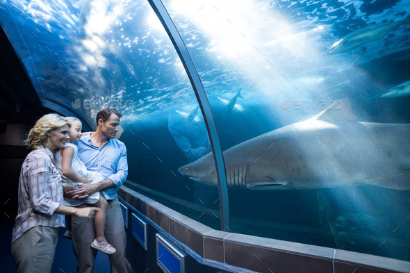 Happy fa;ily looking at shark in a tank at the aquarium