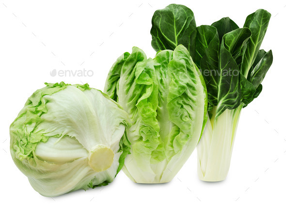 Set of three varieties of fresh lettuce isolated on a white background (Misc) Photo Download