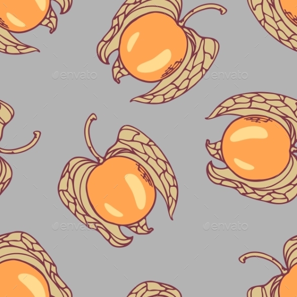 GraphicRiver Stylized Seamless Pattern With Handdrawn Physalis 11441202 GraphicRiver Stylized Seamless Pattern With Handdrawn Physalis 11441202