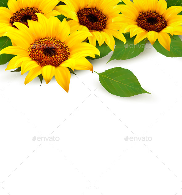 GraphicRiver Sunflowers Background With Sunflower And Leaves 11450667 GraphicRiver Sunflowers Background With Sunflower And Leaves 11450667