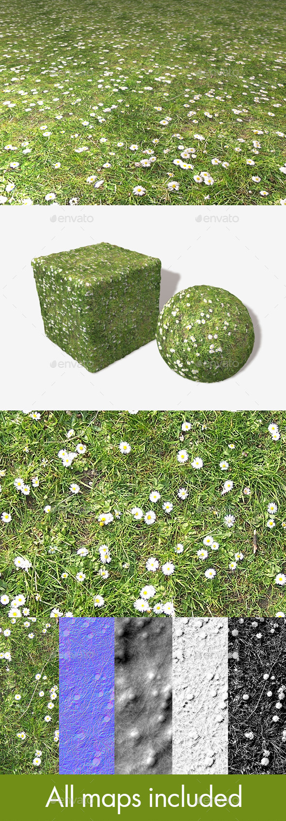 Daisies and Grass Seamless Texture Daisies and Grass Seamless Texture