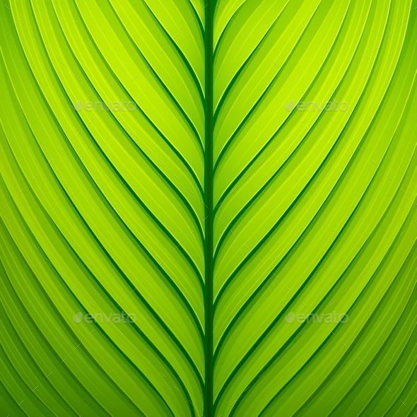 GraphicRiver Texture Green Leaf 11458043 GraphicRiver Texture Green Leaf 11458043