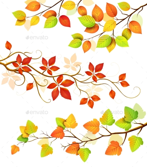 GraphicRiver Collection Of Autumn Leaves 11458088 GraphicRiver Collection Of Autumn Leaves 11458088
