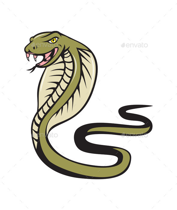 GraphicRiver Cobra Viper Snake Attacking Cartoon 11458219 GraphicRiver Cobra Viper Snake Attacking Cartoon 11458219