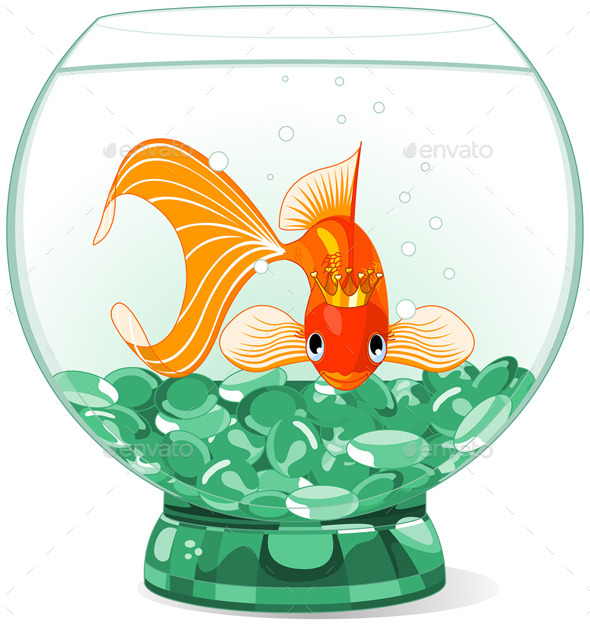 GraphicRiver Goldfish in the Aquarium 11466958 GraphicRiver Goldfish in the Aquarium 11466958
