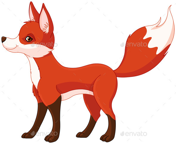 GraphicRiver Red Fox 11482207 GraphicRiver Red Fox 11482207