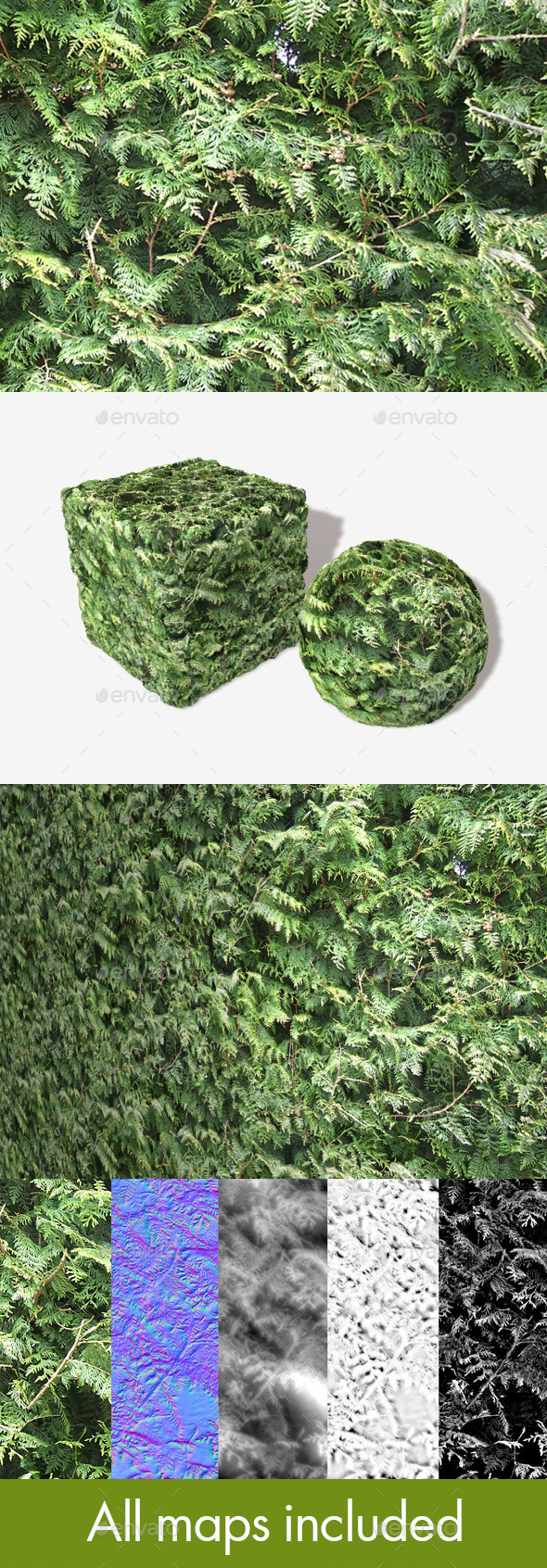 3DOcean Fir Tree Seamless Texture 11494687 3DOcean Fir Tree Seamless Texture 11494687
