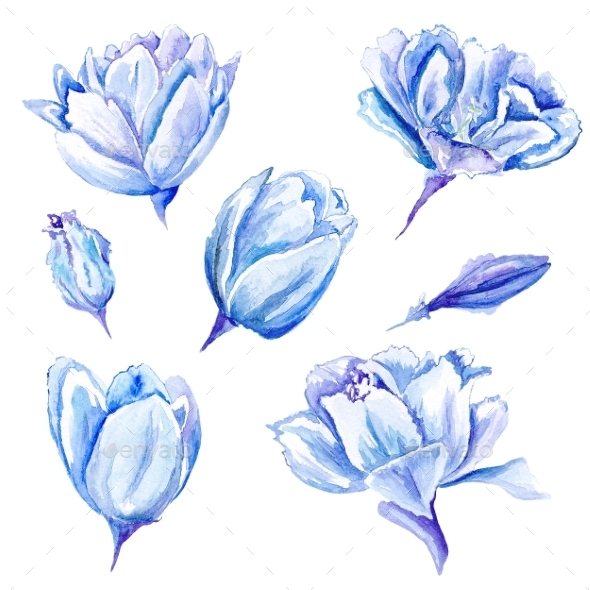GraphicRiver Set Of Watercolor Hand-Painted Tulips 11507889 GraphicRiver Set Of Watercolor Hand-Painted Tulips 11507889