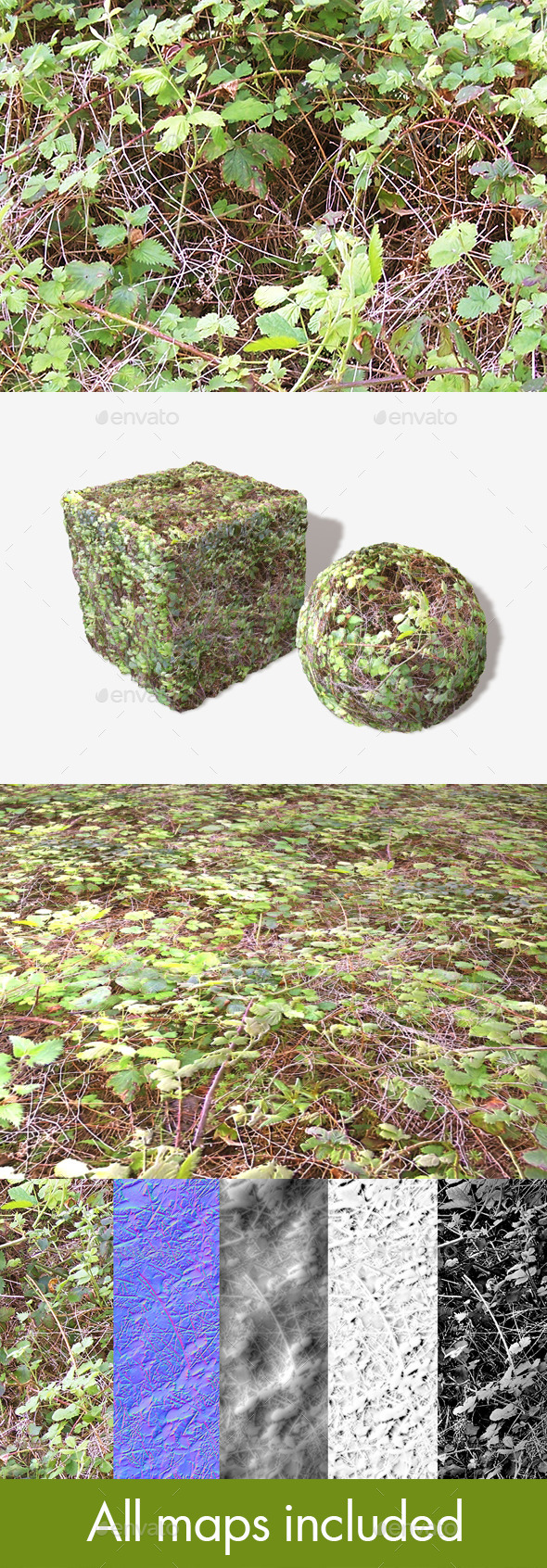 3DOcean Brambles Seamless Texture 11528787 3DOcean Brambles Seamless Texture 11528787