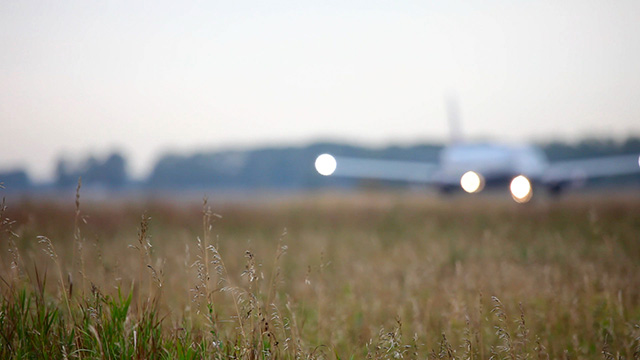 Morning airport Morning airport