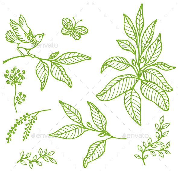 GraphicRiver Decorative Floral Elements 11546349 GraphicRiver Decorative Floral Elements 11546349