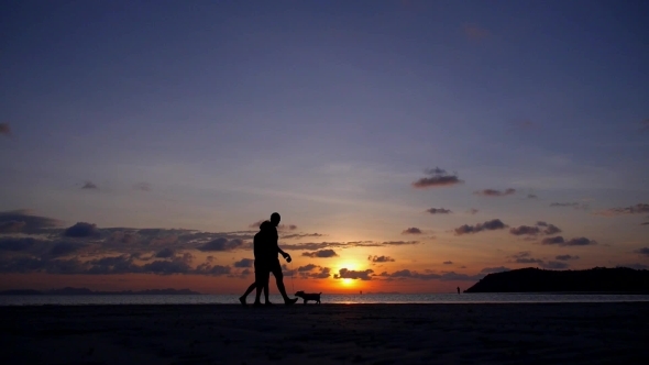 Happy Couple Walking With Dog At Sunset Happy Couple Walking With Dog At Sunset