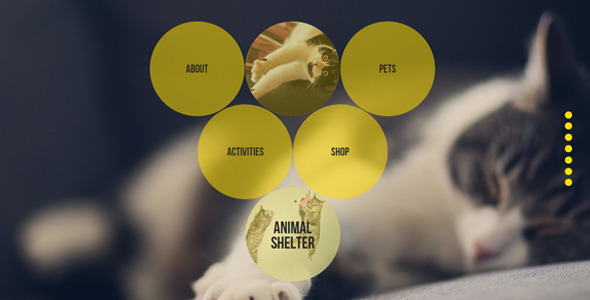 Animal Shelter Muse Template With Gumroad Shop