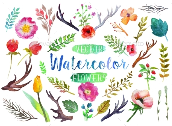 GraphicRiver Vector Watercolor Aquarelle Flowers And Leaves 11562812 GraphicRiver Vector Watercolor Aquarelle Flowers And Leaves 11562812