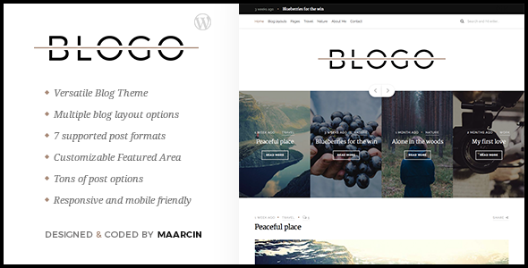 Blogo - Responsive Blog WordPress Theme