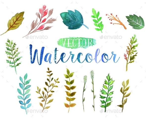 GraphicRiver Vector Watercolor Aquarelle Branches And Leaves 11564579 GraphicRiver Vector Watercolor Aquarelle Branches And Leaves 11564579