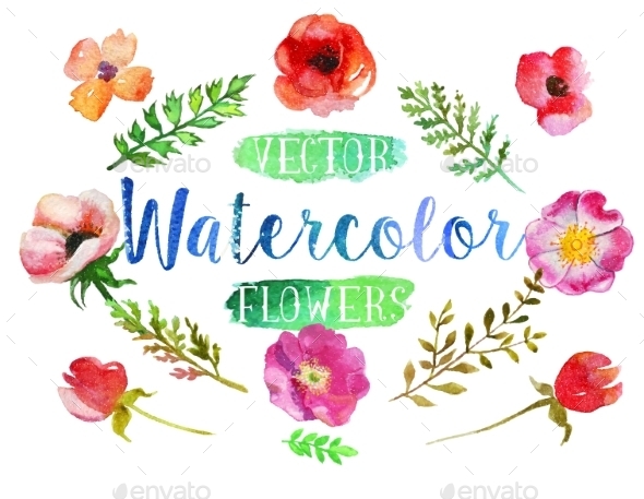 GraphicRiver Vector Watercolor Aquarelle Flowers And Leaves 11564603 GraphicRiver Vector Watercolor Aquarelle Flowers And Leaves 11564603