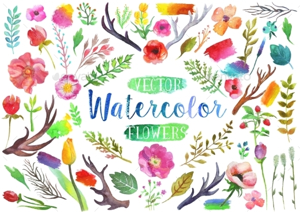 GraphicRiver Vector Watercolor Aquarelle Flowers And Leaves 11564663 GraphicRiver Vector Watercolor Aquarelle Flowers And Leaves 11564663