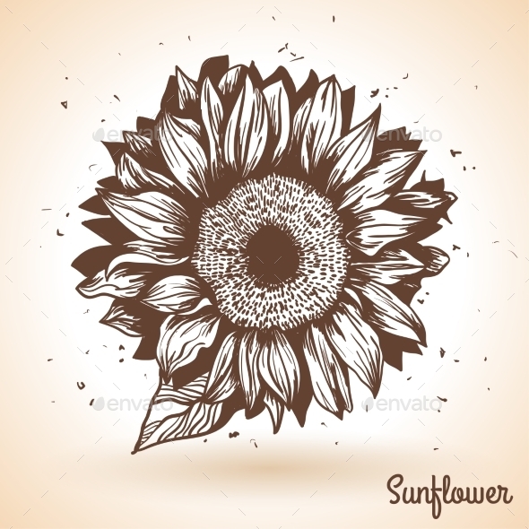 GraphicRiver Sunflower in Vintage Style 11583072 GraphicRiver Sunflower in Vintage Style 11583072