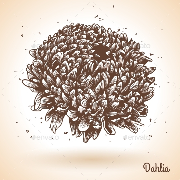 GraphicRiver Vintage Hand Drawn Background with Flowers 11583092 GraphicRiver Vintage Hand Drawn Background with Flowers 11583092