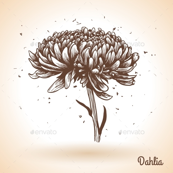 GraphicRiver Flower 11583093 GraphicRiver Flower 11583093