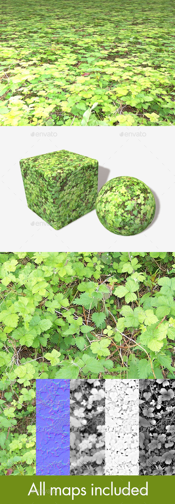 3DOcean Forest Brambles Seamless Texture 11589211 3DOcean Forest Brambles Seamless Texture 11589211