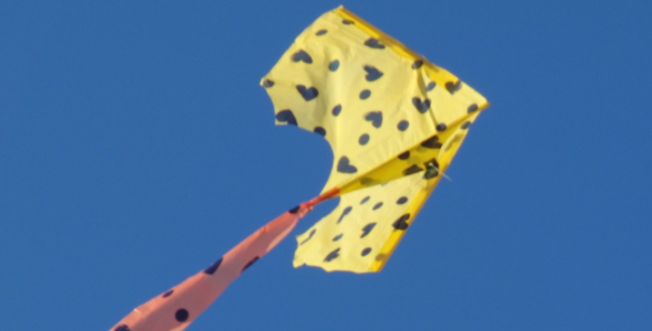 Yellow kite Yellow kite