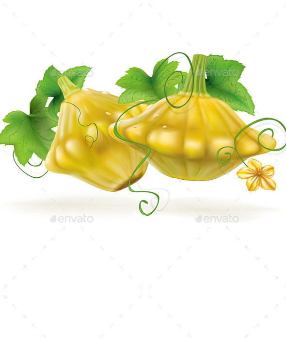 GraphicRiver Patty Pan Squash 11627647 GraphicRiver Patty Pan Squash 11627647