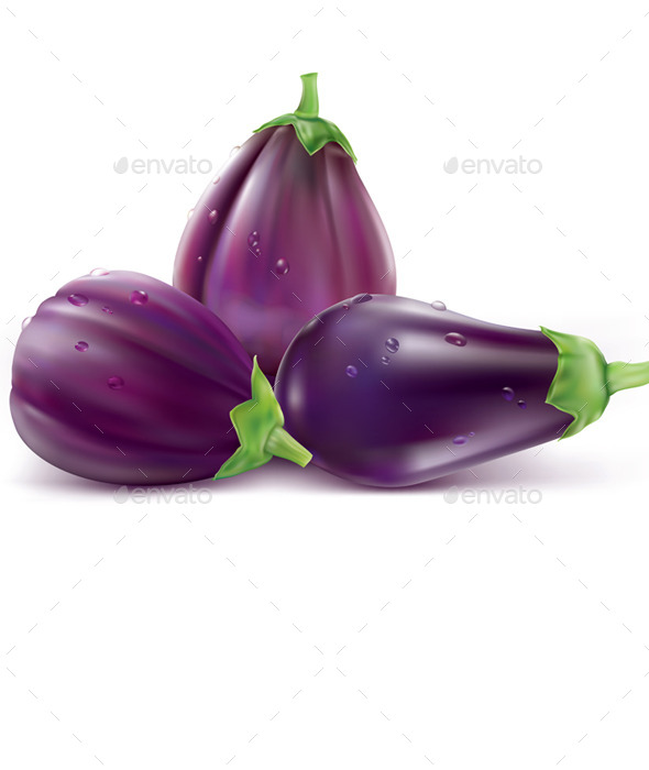 GraphicRiver Eggplant Aubergine 11627801 GraphicRiver Eggplant Aubergine 11627801