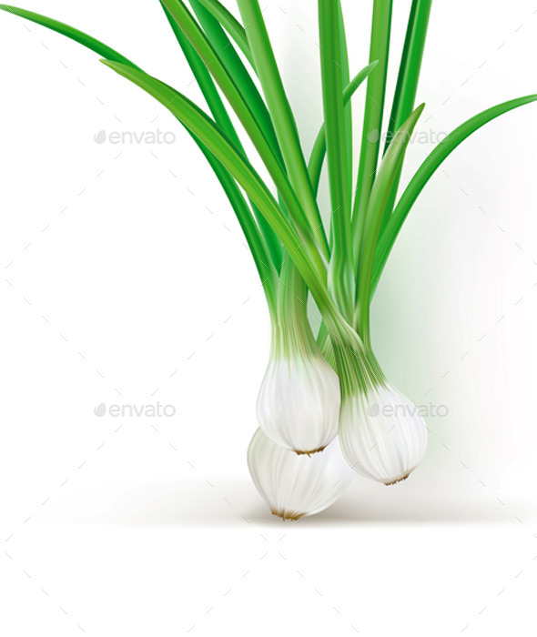 GraphicRiver Green onions 11629158 GraphicRiver Green onions 11629158