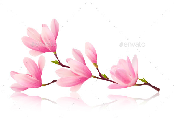 GraphicRiver Nature Background with Blossom Branch 11631068 GraphicRiver Nature Background with Blossom Branch 11631068