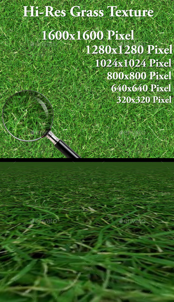 Hi-Res Grass Texture Hi-Res Grass Texture