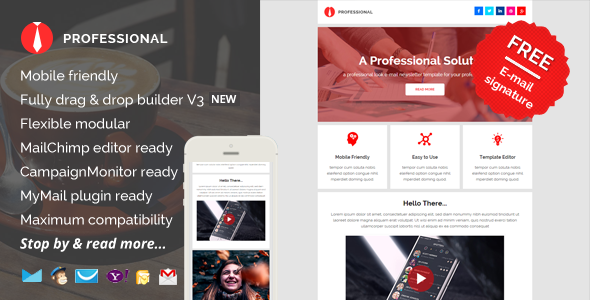 Professional, E-mail Newsletter Pack