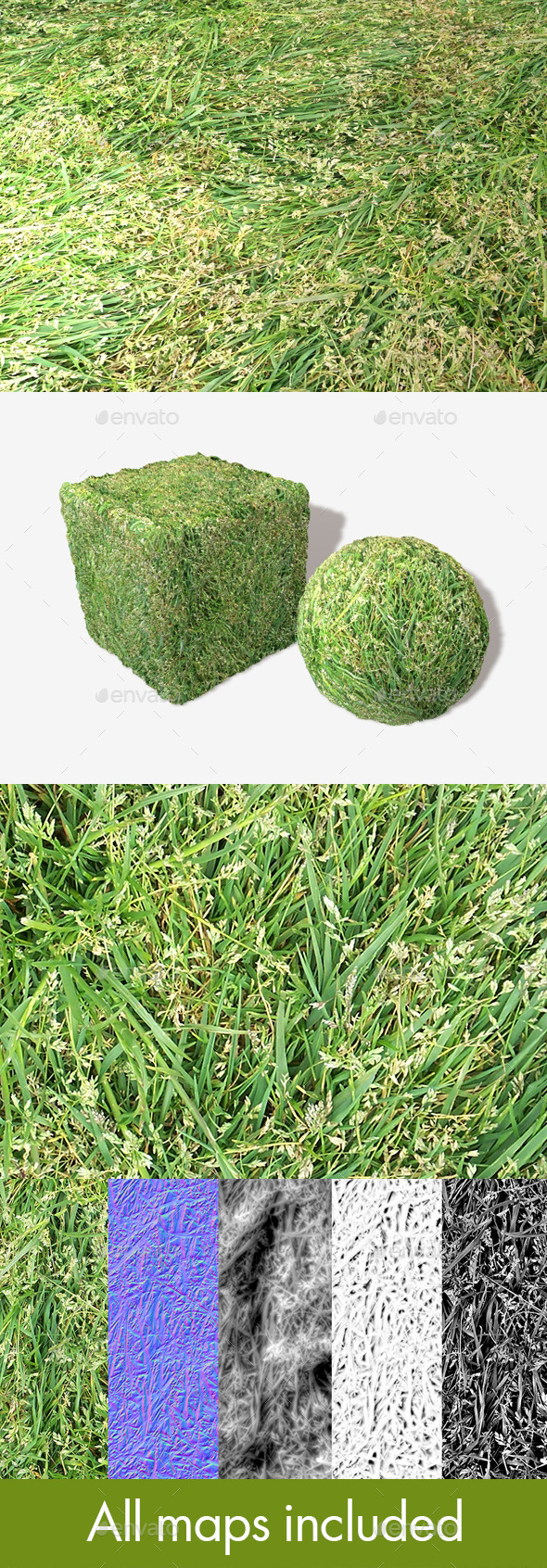 3DOcean Long Trampled Grass Seamless Texture 11677129 3DOcean Long Trampled Grass Seamless Texture 11677129