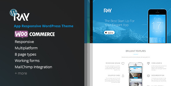 Ray - App Responsive WordPress Theme