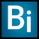 team_bi