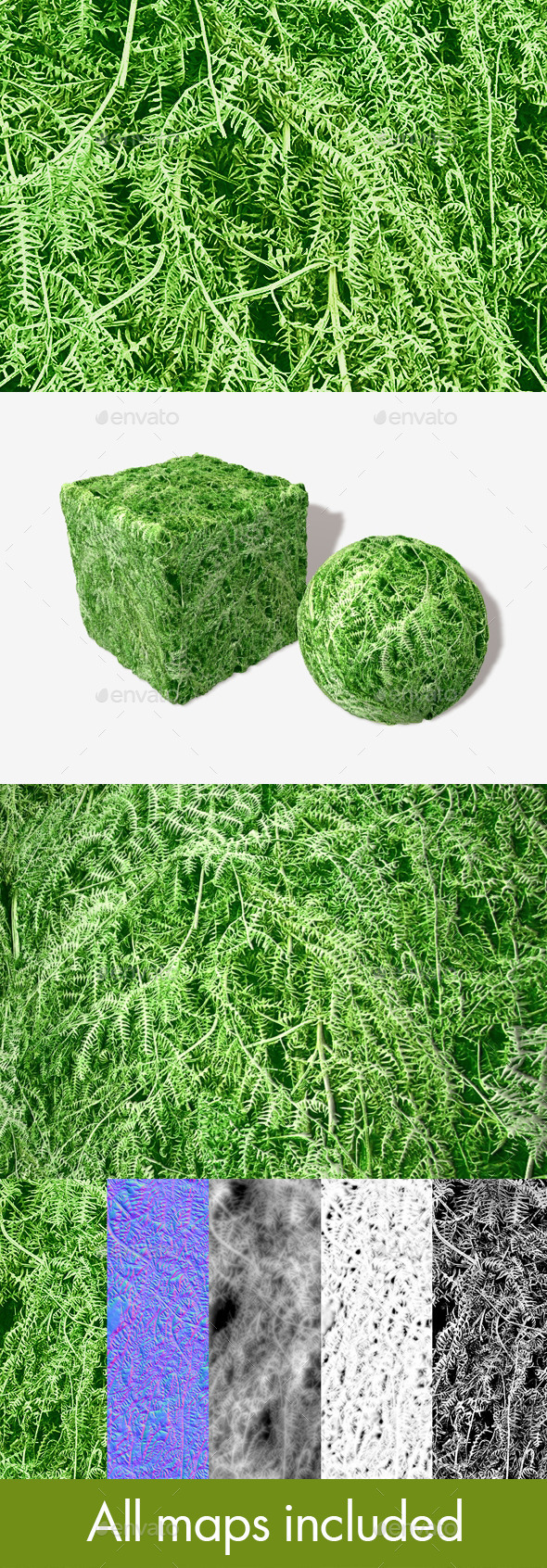 3DOcean Fern Seamless Texture 11693541 3DOcean Fern Seamless Texture 11693541