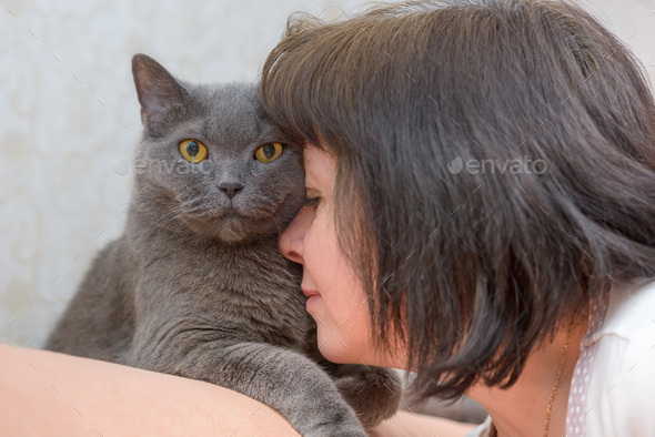 brunette woman with a British cat (Misc) Photo Download