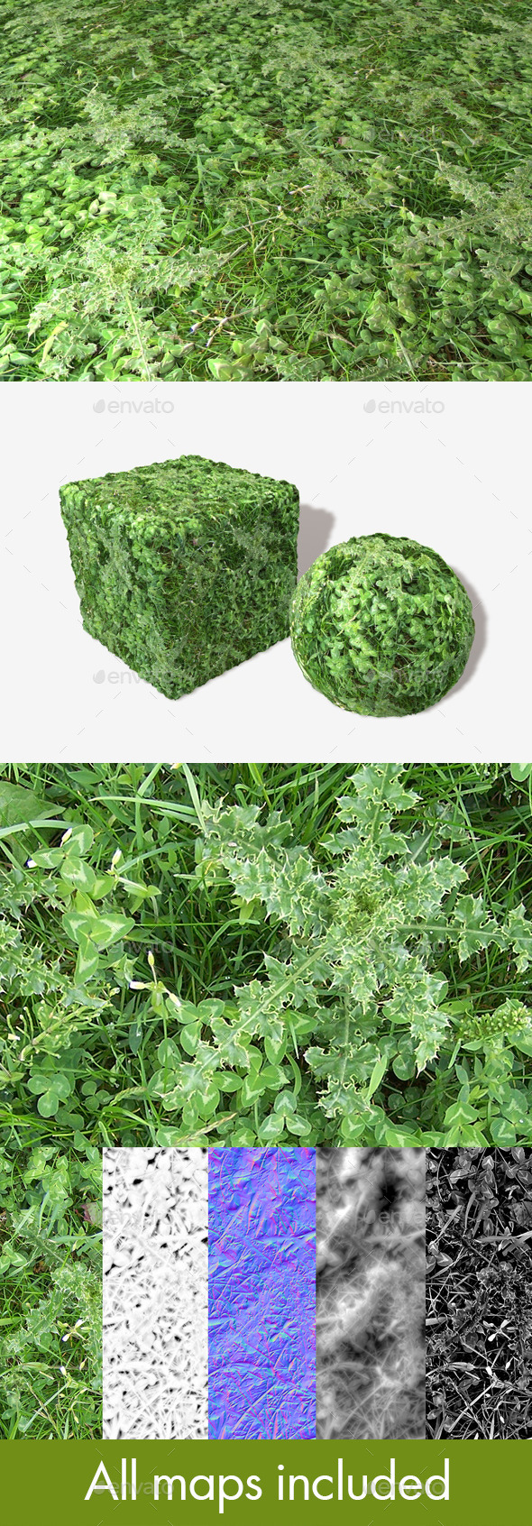 3DOcean Thistle Seamless Texture 11734853 3DOcean Thistle Seamless Texture 11734853